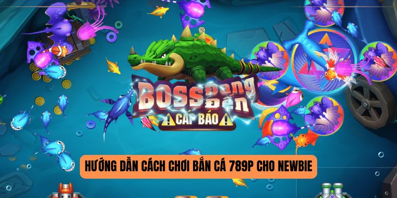 Hướng dẫn cách chơi bắn cá 789P cho newbie