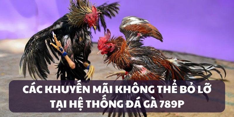 Ưu đãi bất tận tại hệ thống